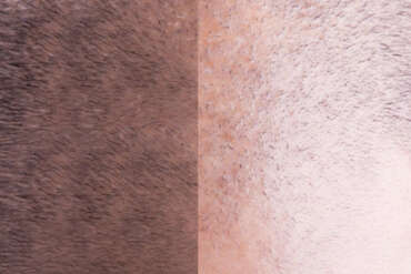 natural hair micropigmentation